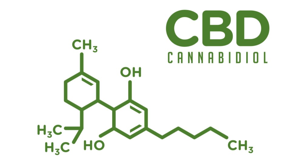 CBD Facts