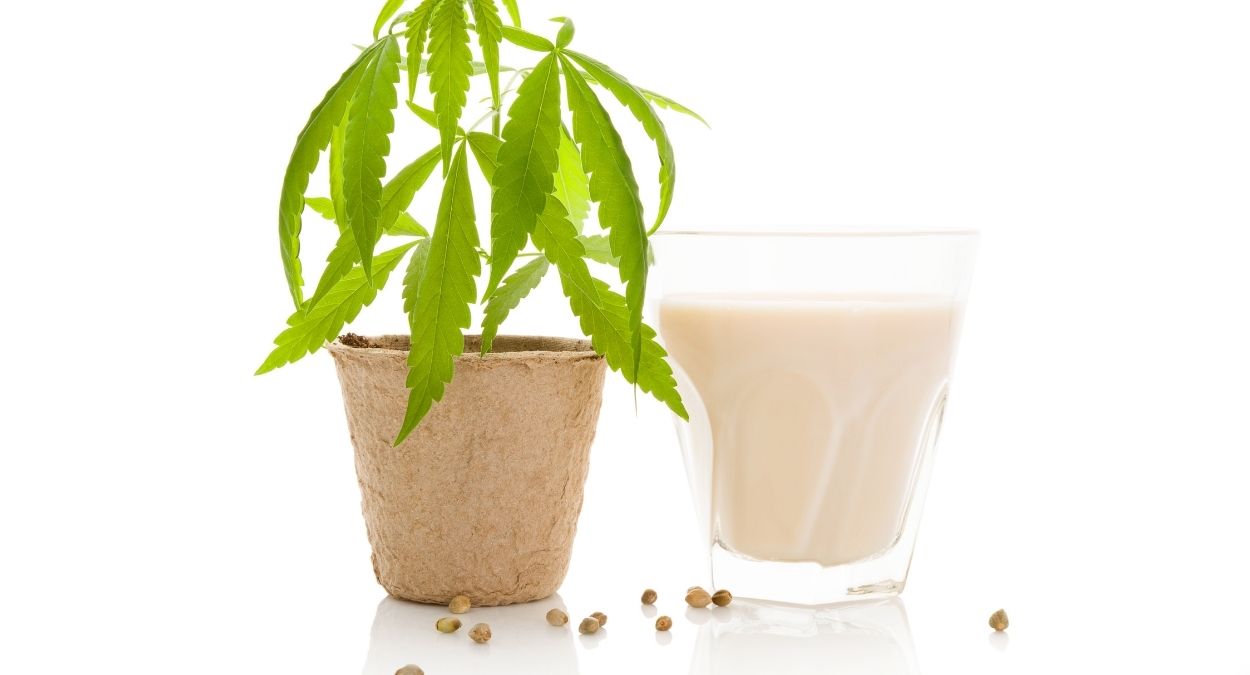 Hemp Milk