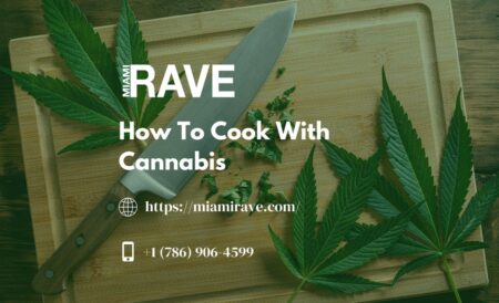 Miami’s Camillus House CBD and THC Medical Delivery Service