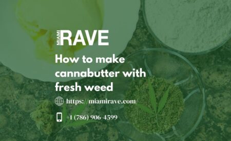 Miami Rave’s CBD Infused Cannabis Gummy Bear Recipe