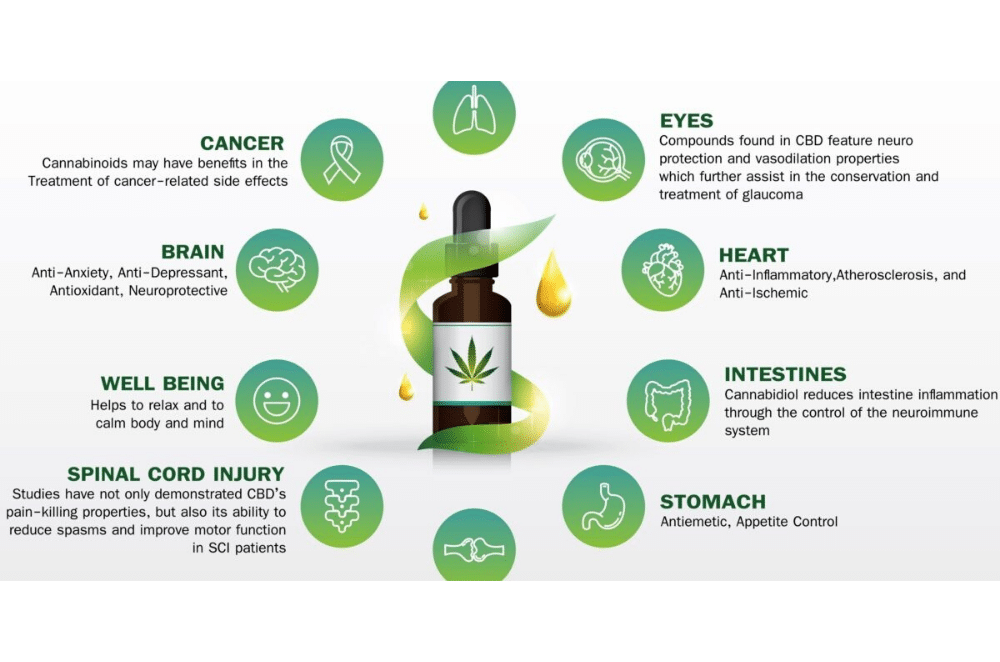 CBD Possible Health Benefits And Side Effects