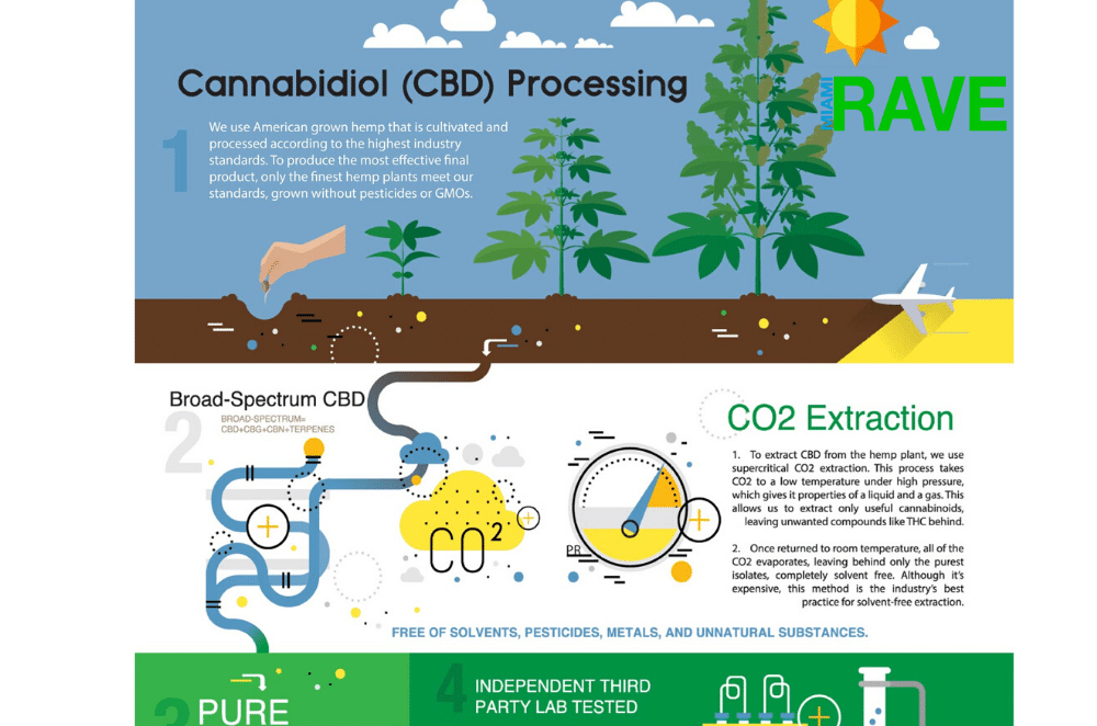 CBD Processing