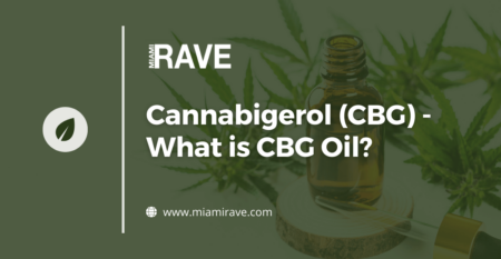 How to Use & Take CBD Oil: A Beginner’s Guide to Consuming CBD