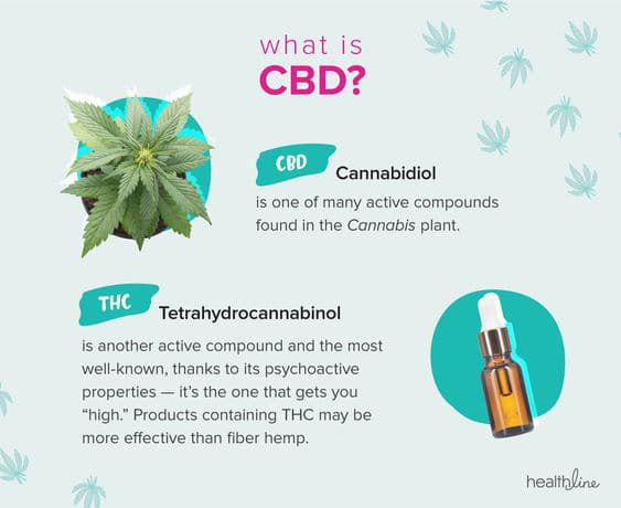 Beginners guide to cbd