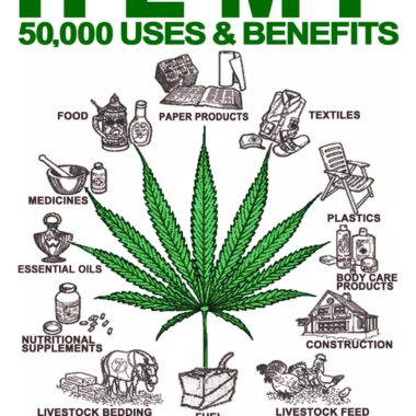 Industrial Hemp Expected To Add 2 Billion Dollars + To USA Economy!!