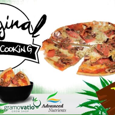 Edibles: Cannabis Infused Pizza on the Menu in Massachusetts