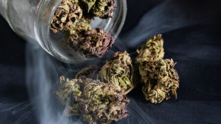 Nevada will begin Recreational Marijuana Sales July 1